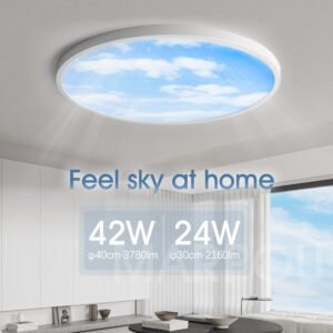 MARPOU Smart Sky Lamp LED Ceiling Lamps For Living Room Brightness Dimmable APP / Remote Control Power 24W Type Smart Control