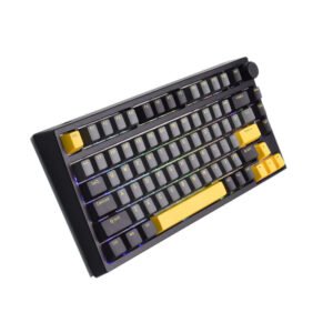 GamaKay TK75-SE 75% Gasket Mount Mechanical Gaming Keyboard Outemu Switch RGB Triple Mode Hot Swappable PBT Cherry Profile Keycaps Custom Keyboard Color Black