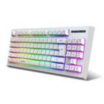 HXSJ L100 2.4G Wireless Keyboard 87 Keys Multimedia Function RGB Backlit Rechargeable Keyboard for Computer Laptop Home Office Color Black