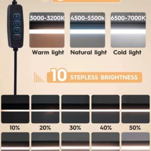 10W LED Desk Lamp with Clamp Adjustable Swing Arm Dimmable 10 Brightness Levels 3 Color Modes Eye-Care Lighting for Home Office Color Black