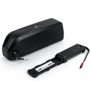[EU Direct] UnitPackPower S039-5 52V 20AH Ebike Battery LG4800mAh Battery with 40A BMS Protection Board 2A Charger for Cycling Type 52V 20AH